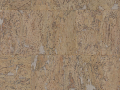 stone-art-oyster.png.png