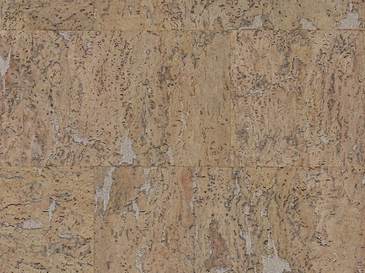 stone-art-oyster.png.png