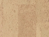 Podłoga korkowa Identity Champagne — zbliżenie powierzchni · 905 x 295 x 10,5 mm