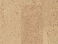 champagne1.jpg