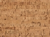 Podłoga korkowa CHARACTER (dawniej ATTRACTION) — zbliżenie powierzchni · 905 x 295 x 10,5 mm