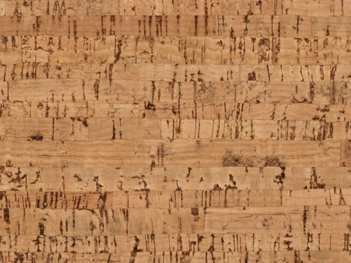 Podłoga korkowa CHARACTER (dawniej ATTRACTION) — zbliżenie powierzchni · 905 x 295 x 10,5 mm