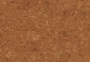 Podłoga korkowa Originals Shell — zbliżenie powierzchni · 1225 x 195 x 7 mm