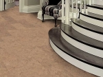 Appeal4.jpg
