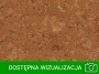 shell3.jpg