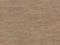 bamboo-artica3.png