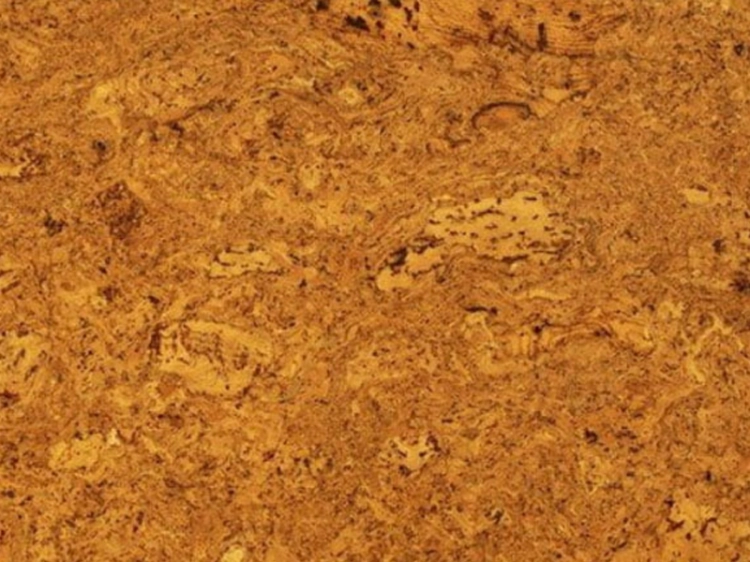 Korek ścienny TENERIFE NATURAL — zbliżenie powierzchni · 600 x 300 x 3 mm
