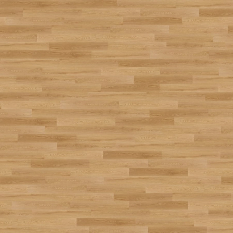 c418634f016a6b0ca5c5989e0701881b.jpg