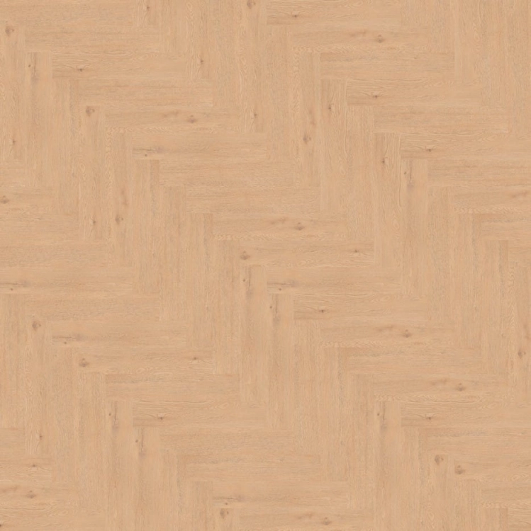 73b32c9a3c0a35260a7e9516f40679f5.jpg