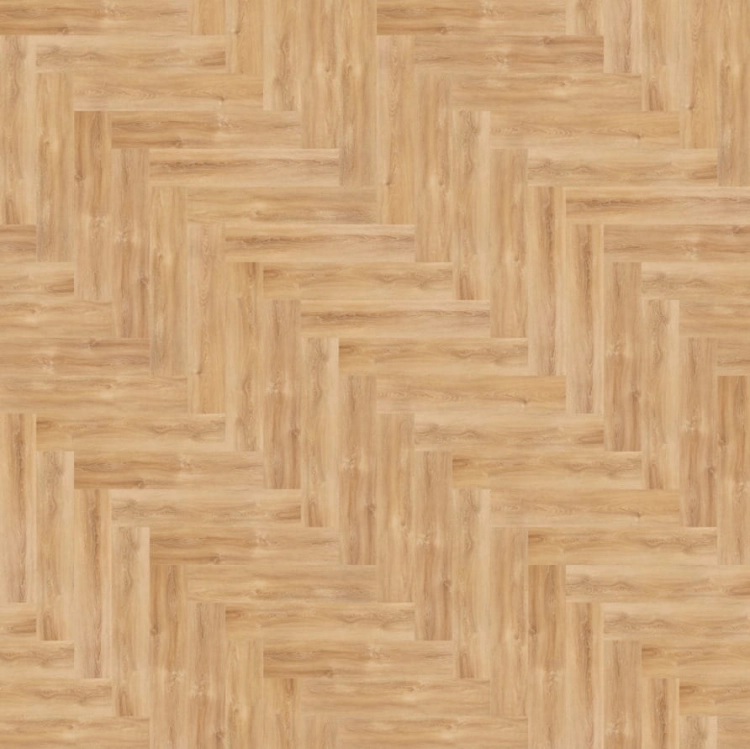 25414501c93271e3b6768c4ce704edca.jpg