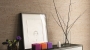 81000094_Bamboo-Terra_aranzacja.jpg