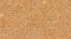 81000356_Burel-Forest_tekstura.jpg