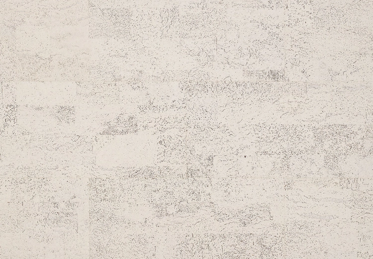 81000001.jpg