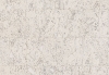 81000061.jpg