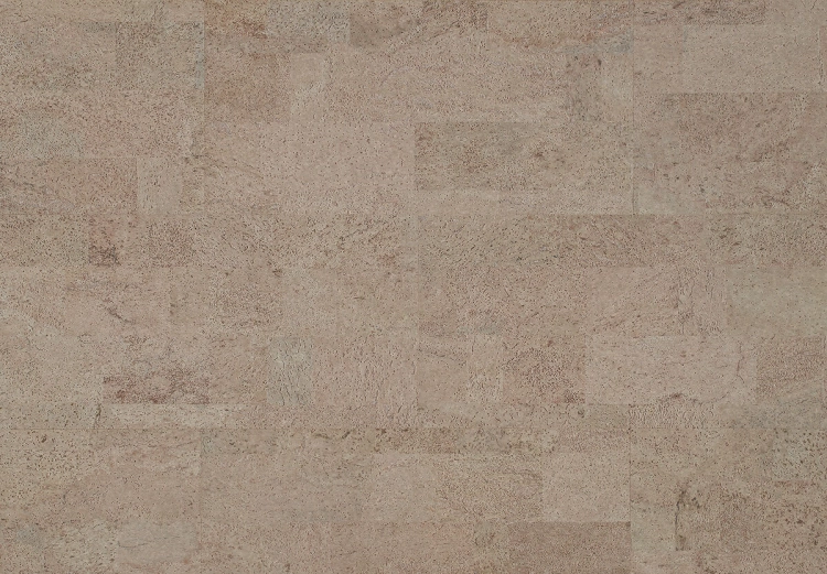 81000065.jpg