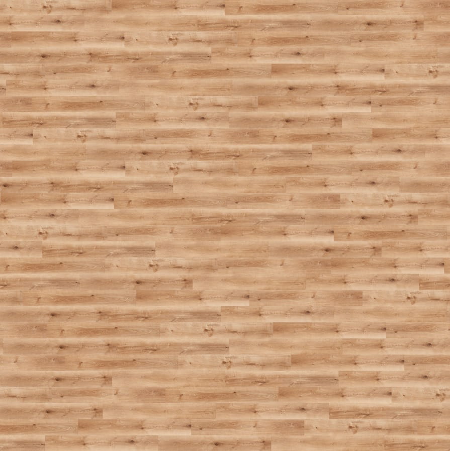6996ccb3954a1c8855aa66428b30113e.jpg